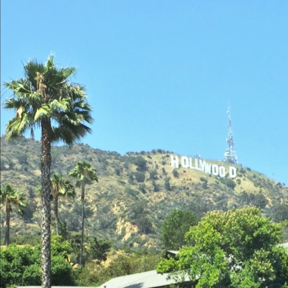 Meet your Posher, Maya - Picture 3 of 3